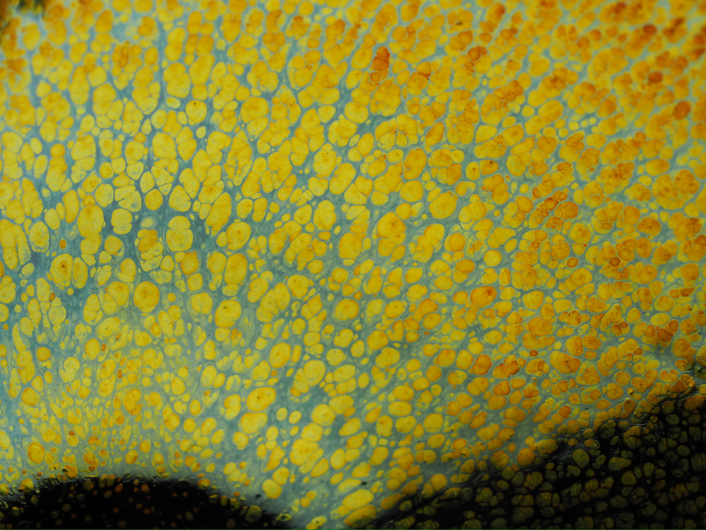 Gold oil droplet glaze tied mouth shape cup, flower symbolism