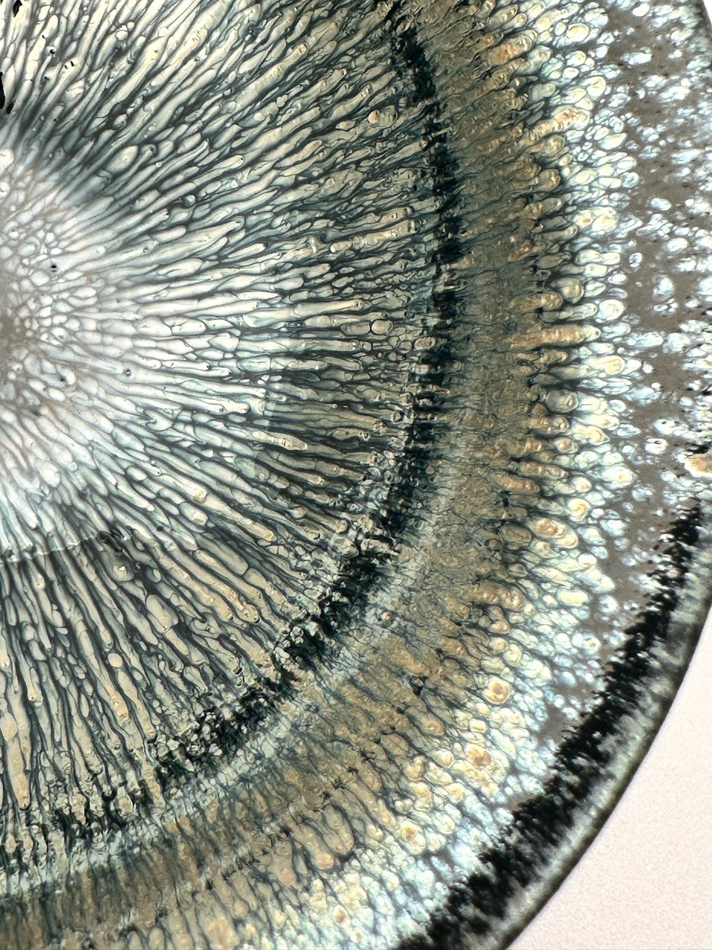 Dark Silver Hare's Fur Glaze Official's Hat (Guanmao) Shape Cup