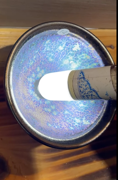 Today’s Live Selection - 2026-02-21