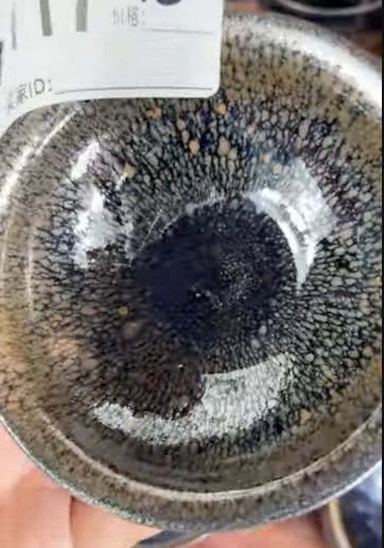 Today’s Live Selection-2026-03-23