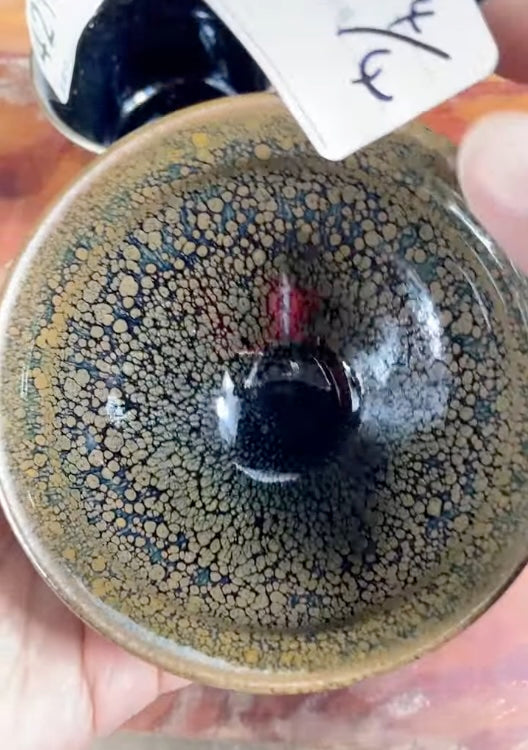 Today’s Live Selection-2026-04-04