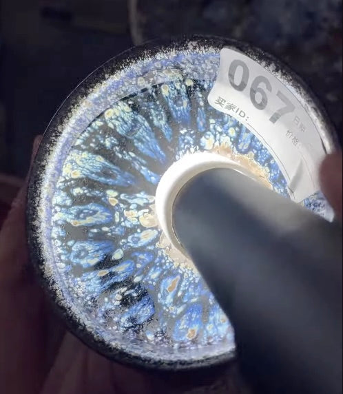 Today’s Live Selection-2026-03-01