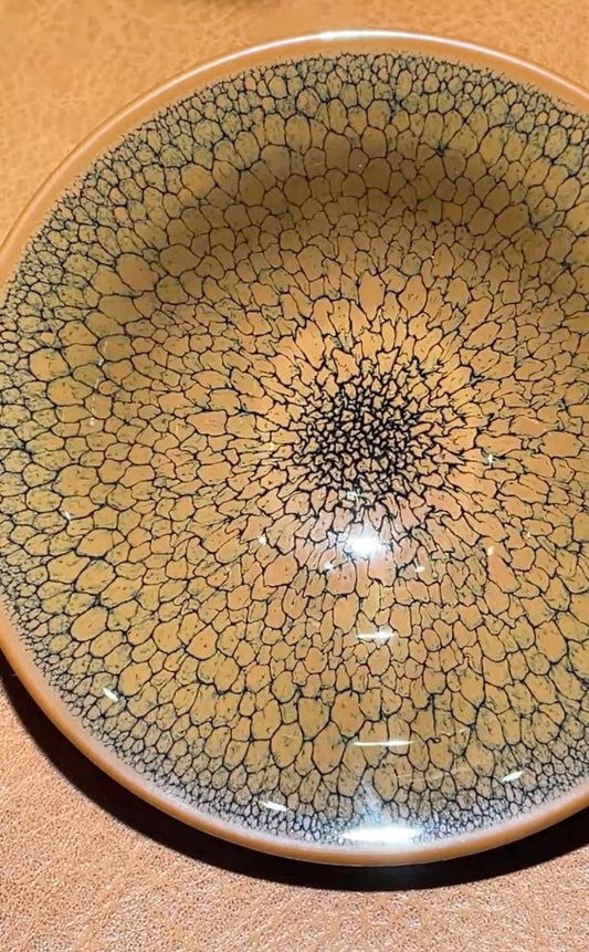 Today’s Live Selection-2026-03-26