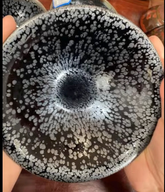 Today’s Live Selection-2026-02-24