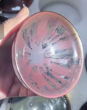 20251027 SongYu Dragon Kiln Master ZouGuangYi Wood Fired Cups 宋钰龙窑邹光揖老师柴烧作品