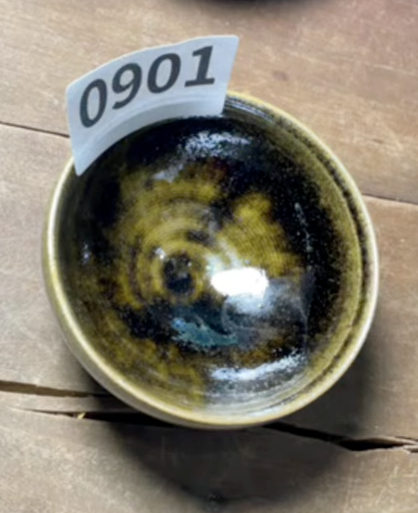 Today’s Live Selection - 2026-02-21