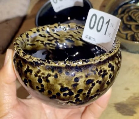 Today’s Live Selection-2026-03-17