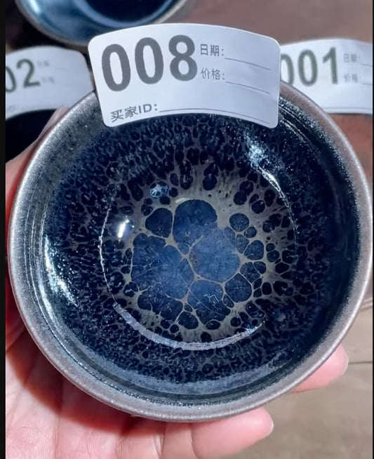 Today’s Live Selection-2026-02-28