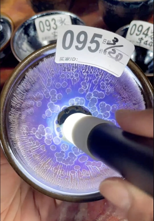 Today’s Live Selection-2026-03-20