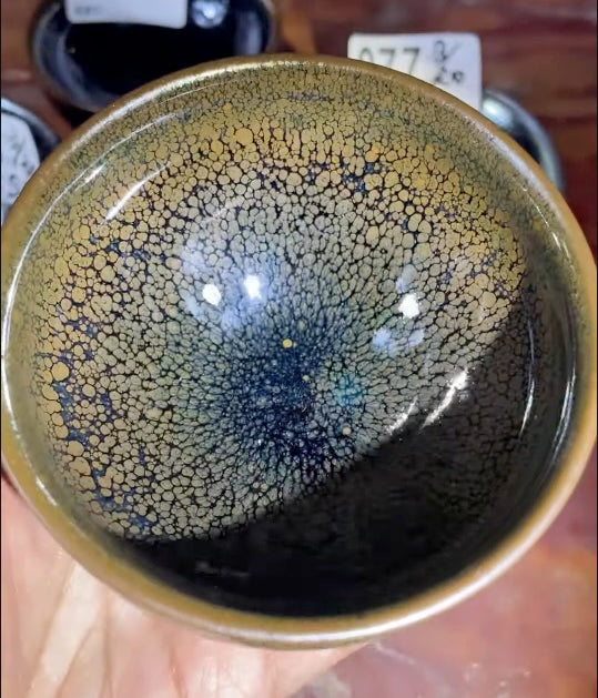 Today’s Live Selection-2026-03-20