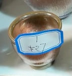 Today’s Live Selection-2026-02-25