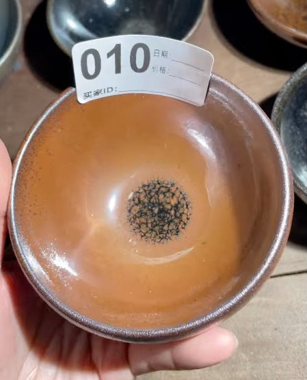 Today’s Live Selection-2026-02-28