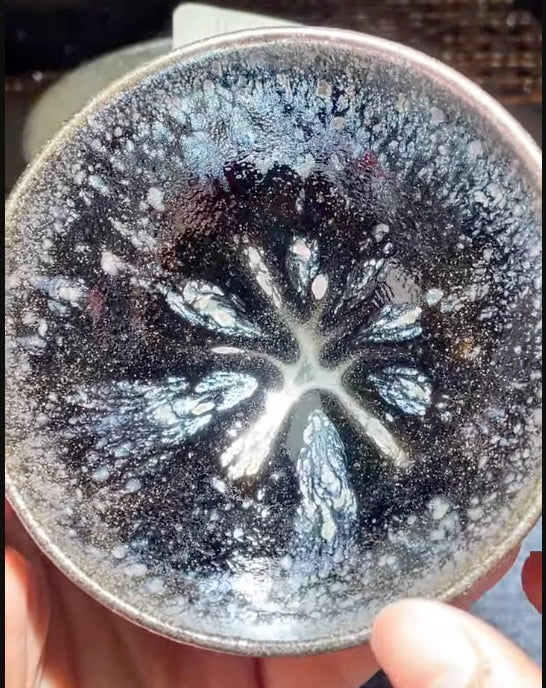 Today’s Live Selection-2026-03-01