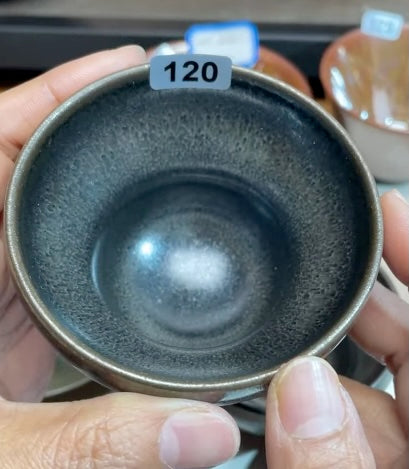 Today’s Live Selection-2026-02-26