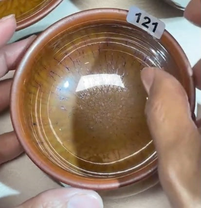 Today’s Live Selection-2026-02-26