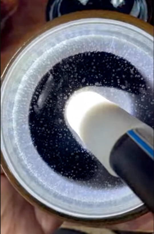 Today’s Live Selection-2026-03-23