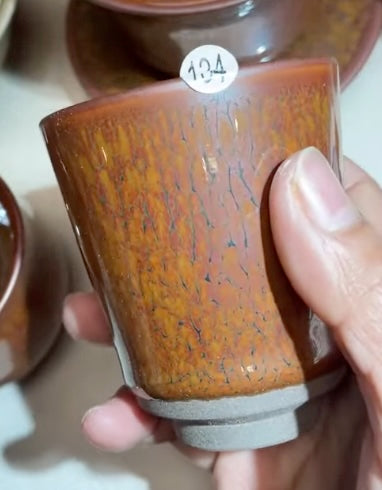 Today’s Live Selection-2026-02-26