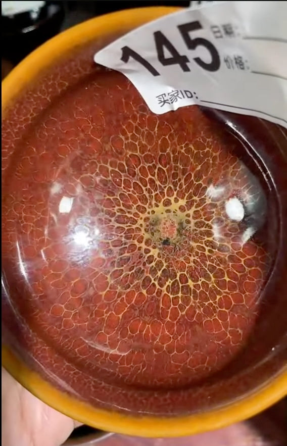 Today’s Live Selection-2026-03-23