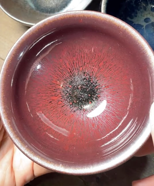 Today’s Live Selection-2026-02-25