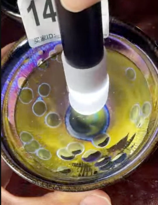 Today’s Live Selection-2026-03-25