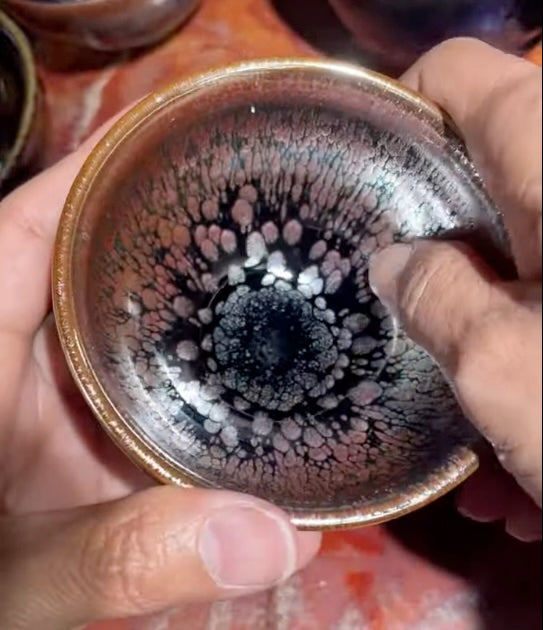 Today’s Live Selection-2026-03-25