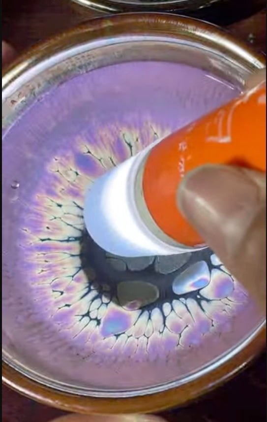 Today’s Live Selection-2026-03-25