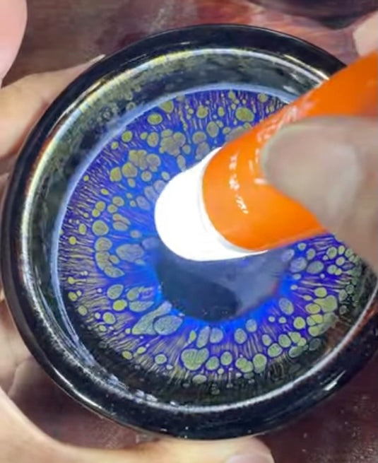 Today’s Live Selection-2026-03-25