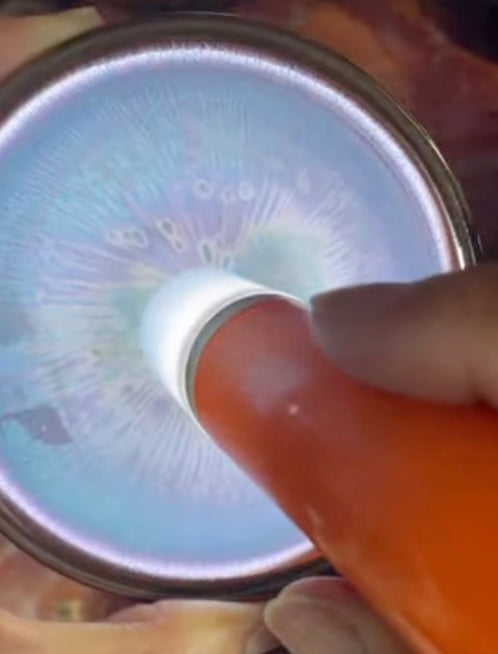 Today’s Live Selection-2026-03-25