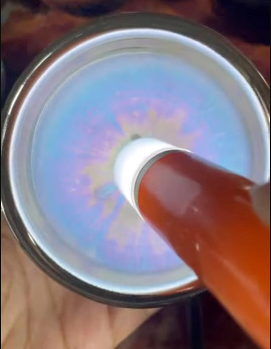 Today’s Live Selection-2026-03-25