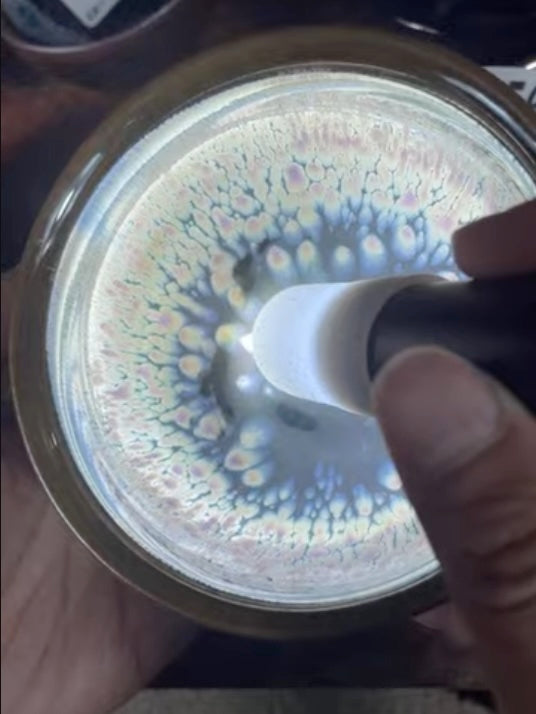 Today’s Live Selection-2026-03-25