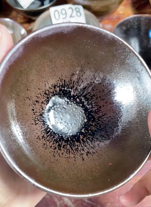 Today’s Live Selection