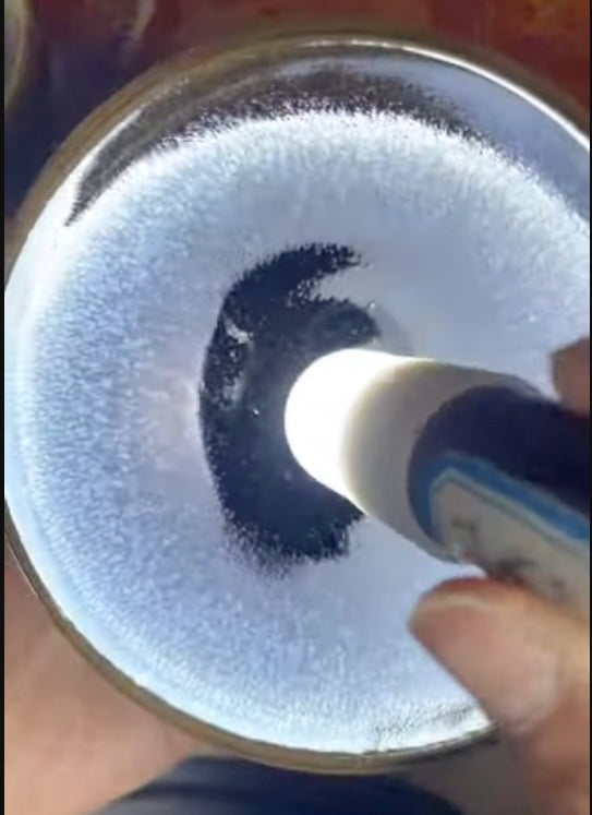 Today’s Live Selection-2026-03-25