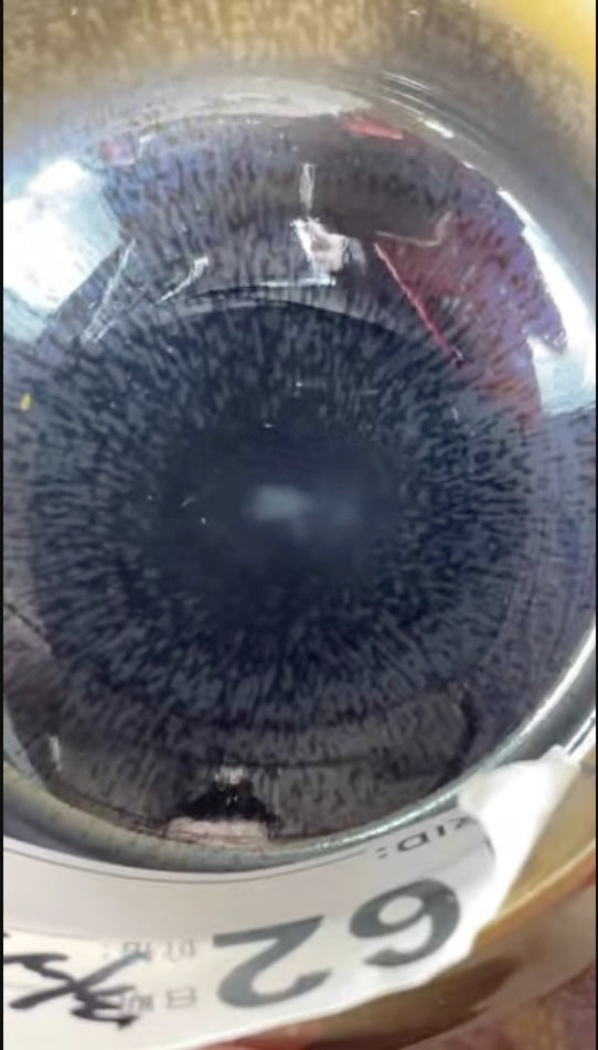 Today’s Live Selection-2026-03-25