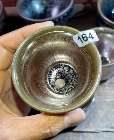 Today’s Live Selection-2026-02-25