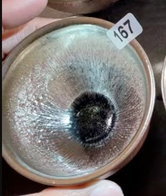 Today’s Live Selection-2026-02-25