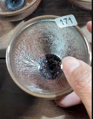 Today’s Live Selection-2026-02-25