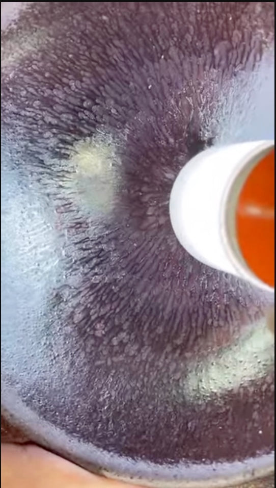 Today’s Live Selection-2026-03-25