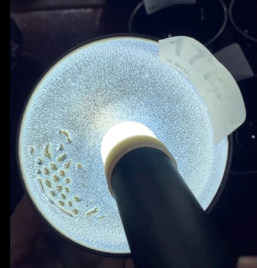 Today’s Live Selection-2026-03-27