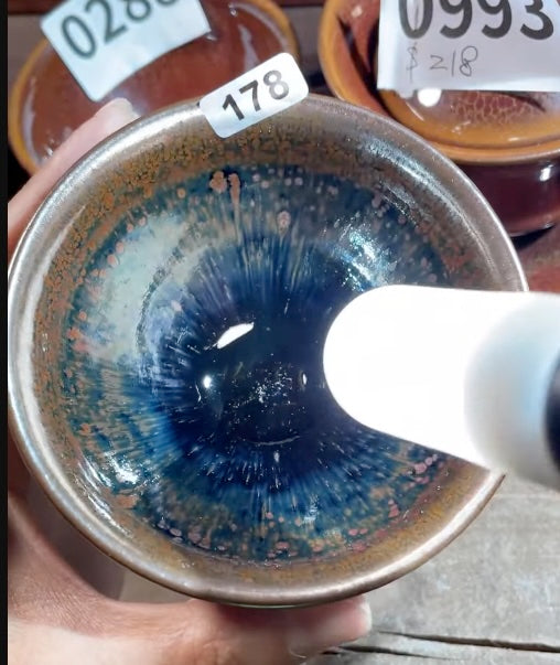 Today’s Live Selection-2026-02-25