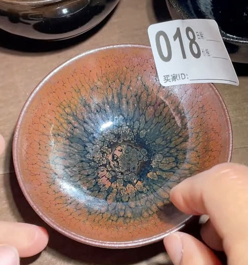 Today’s Live Selection-2026-02-28