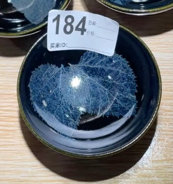 Today’s Live Selection-2026-03-02