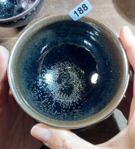 Today’s Live Selection-2026-02-25