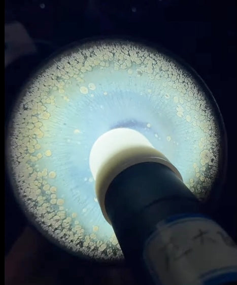 Today’s Live Selection-2026-03-27