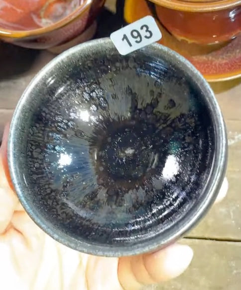 Today’s Live Selection-2026-02-25