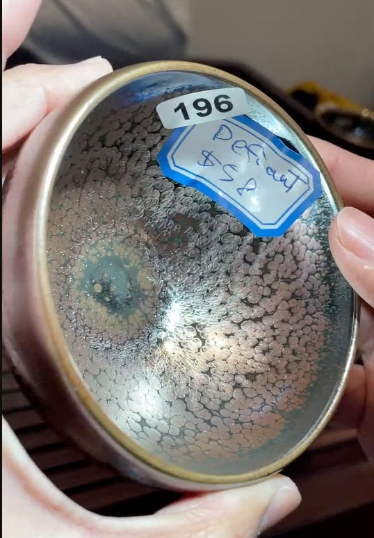 Today’s Live Selection - 2026-02-22