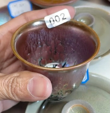 Today’s Live Selection-2026-02-26