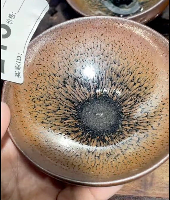 Today’s Live Selection-2026-03-28