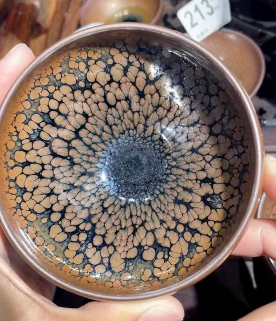 Today’s Live Selection-2026-03-28