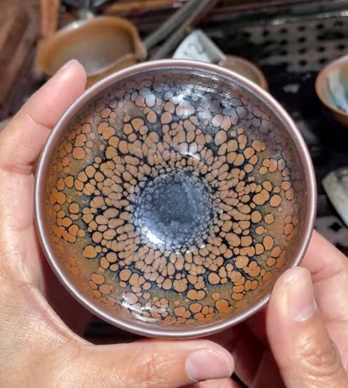 Today’s Live Selection-2026-03-28