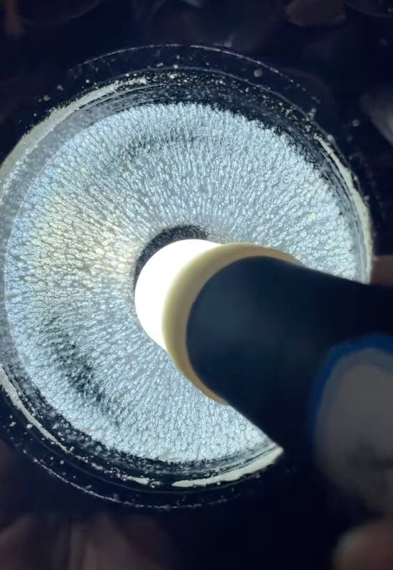 Today’s Live Selection-2026-03-28